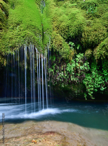waterfall in the forest