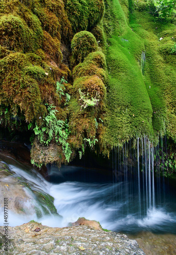 waterfall in the forest