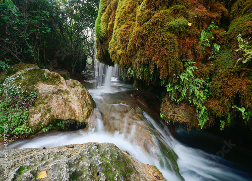 waterfall in the forest