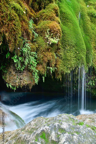 waterfall in the forest