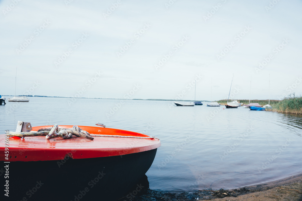 Obraz premium asdfasdasdaS