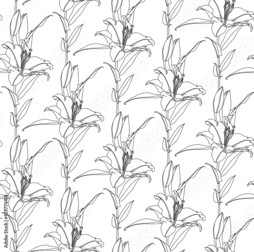 Fototapeta Naklejka Na Ścianę i Meble -  Floral seamless pattern of black linear drawing of lily flowers on white background. Decorative print for wallpaper, coloring, wrapping, textile, fashion fabric or other printable covers.