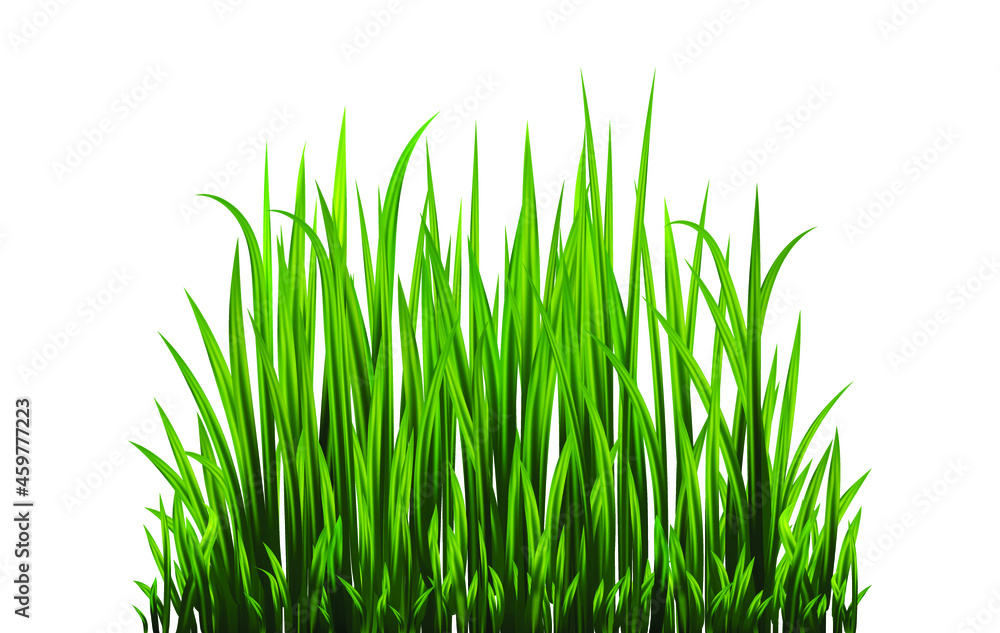 Green grass set. Fresh herb: natural, organic, bio, eco label and shape isolated on white background. Vector illustration. Green grass set. Fresh herb: natural, organic, bio, eco label and shape isolated on white background. Vector illustration.