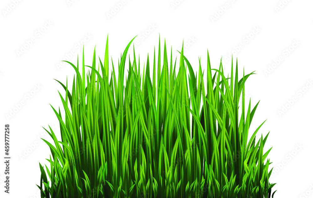 Green grass set. Fresh herb: natural, organic, bio, eco label and shape isolated on white background. Vector illustration. Green grass set. Fresh herb: natural, organic, bio, eco label and shape isolated on white background. Vector illustration.