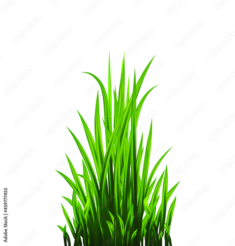 Green grass set. Fresh herb: natural, organic, bio, eco label and shape isolated on white background. Vector illustration. Green grass set. Fresh herb: natural, organic, bio, eco label and shape isolated on white background. Vector illustration.