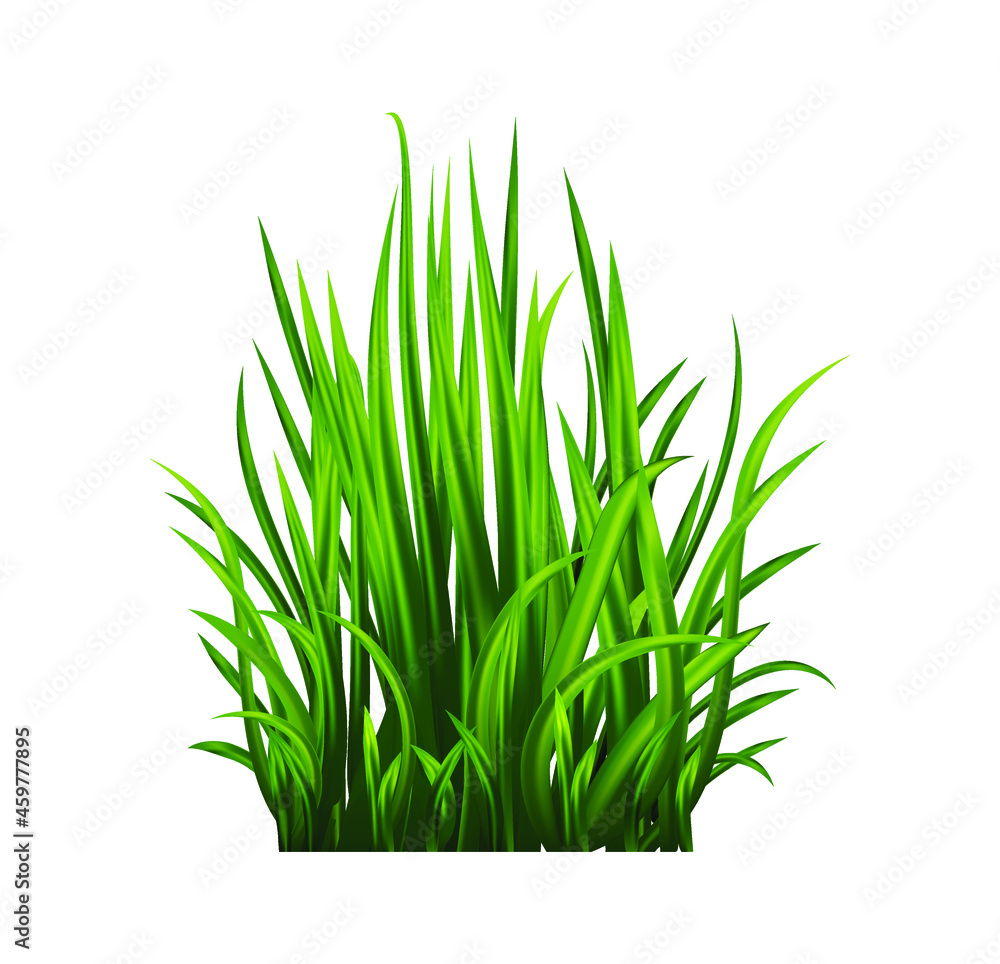 Obraz premium Green grass set. Fresh herb: natural, organic, bio, eco label and shape isolated on white background. Vector illustration.