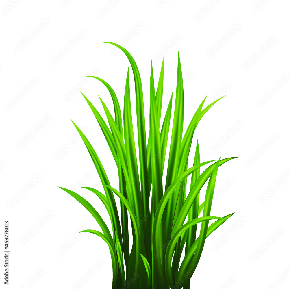 Green grass set. Fresh herb: natural, organic, bio, eco label and shape isolated on white background. Vector illustration.