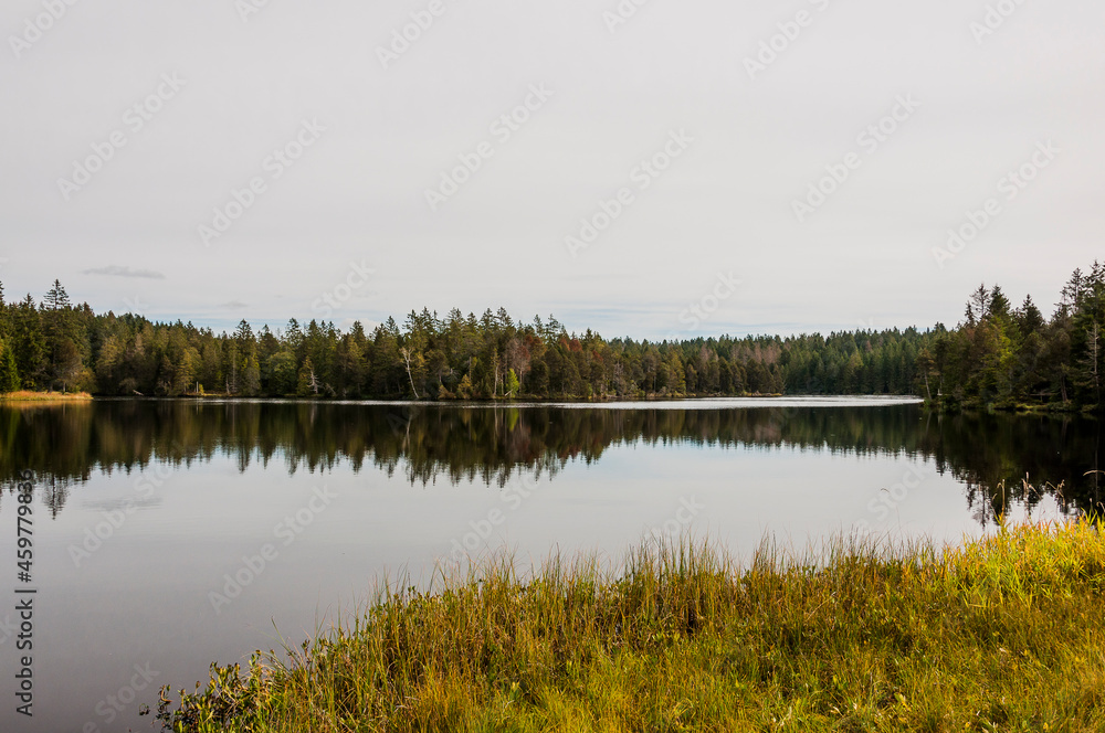 étang de la gruère, la gruère, See, Moorsee, Moor, Weiher, Hochmoor, Wanderweg, Spiegelung, Wald, Waldweg, Wasserpflanzen, Torfmoos, Jura, Naturschutz, Sommer, Herbst, Herbstfarben, Schweiz étang de la gruère, la gruère, See, Moorsee, Moor, Weiher, Hochmoor, Wanderweg, Spiegelung, Wald, Waldweg, Wasserpflanzen, Torfmoos, Jura, Naturschutz, Sommer, Herbst, Herbstfarben, Schweiz