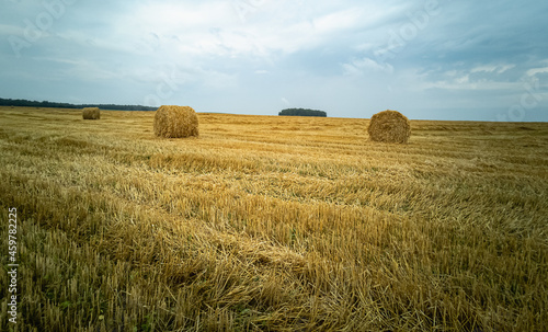 Natural background and beautiful natural landscape.A field with harvested wheat. The concept of harvesting, reaping.