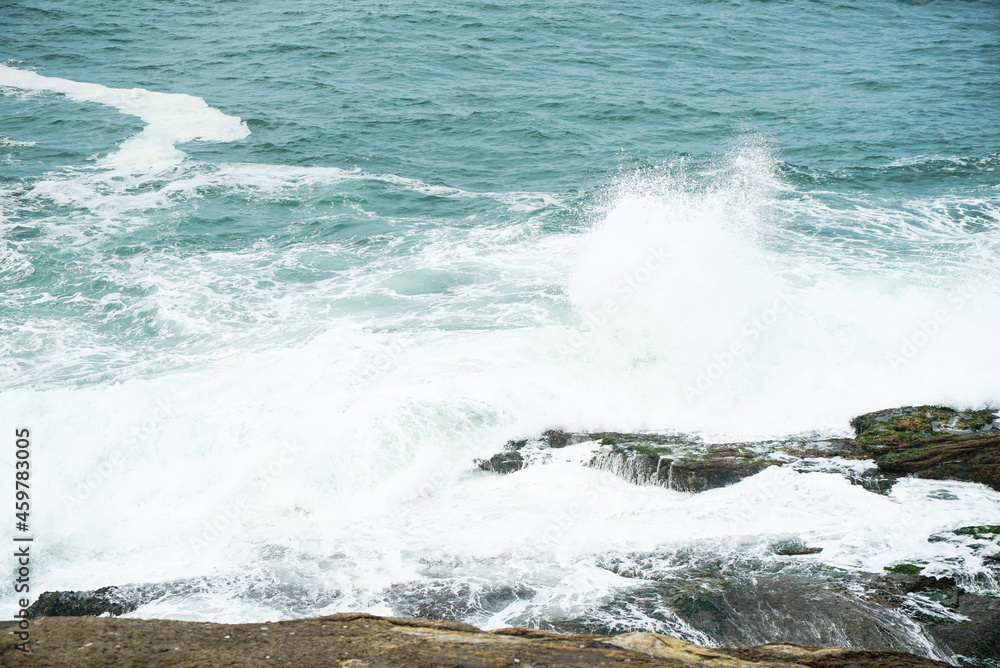 Fototapeta premium Natureza exuberante