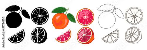 Three set of grapefruits-  black silhouette, colored in a cartoon style and outline style. One grapefruit on a twig with two leaves, a half and two slices, isolated on a white background. Vector 