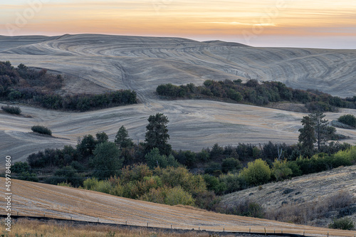 Palouse Fields in Fall, Golden to Blue Hour, Washington State