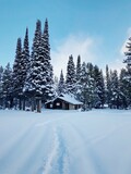 Winter Cabin in the Woods Amongst the Snow and Pine Trees
