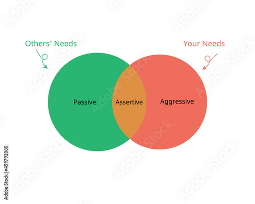 the assertiveness which is combines of aggressive and passive