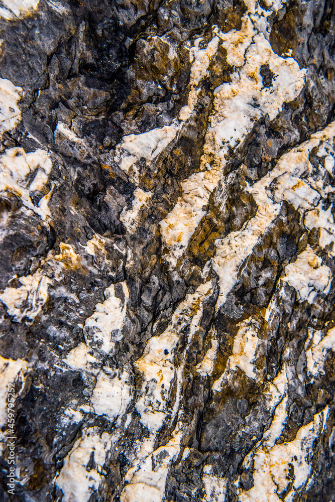 Texture Texture