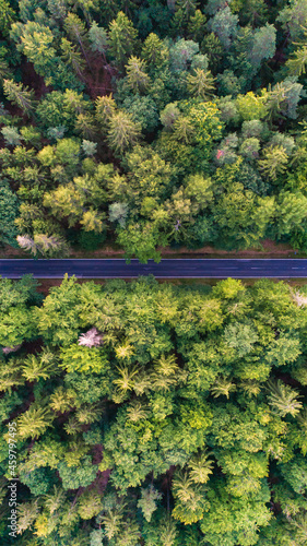 Forest and road from above, bird's eye view, drone's perspective