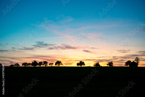 Baumreihe, Sonnenuntergang, Silhouette, abendrot, Himmel © aBSicht