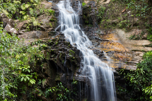 waterfall in the forest