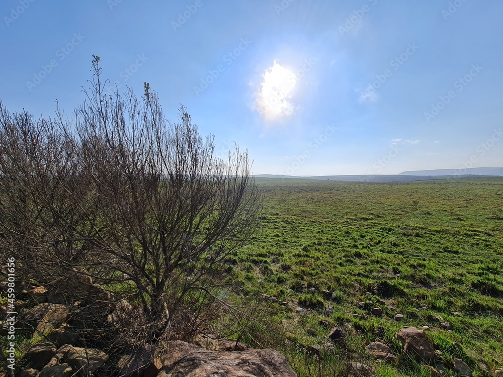 Obraz premium campos de cima da serra - cambará do sul