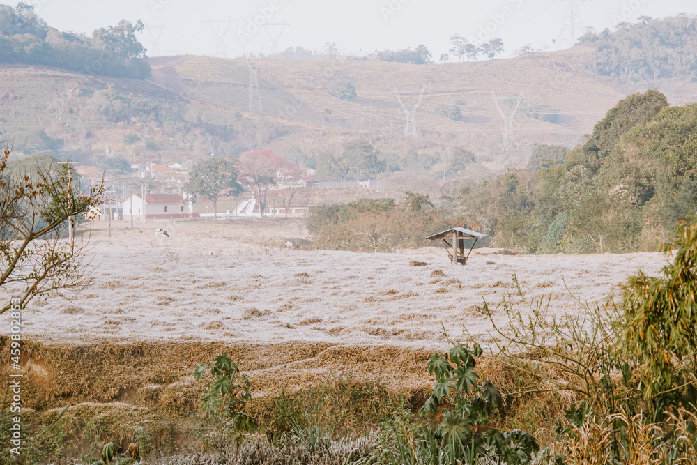 Morning Winter Rural landscape and forest in Brazil 2021 Morning Winter Rural landscape and forest in Brazil 2021