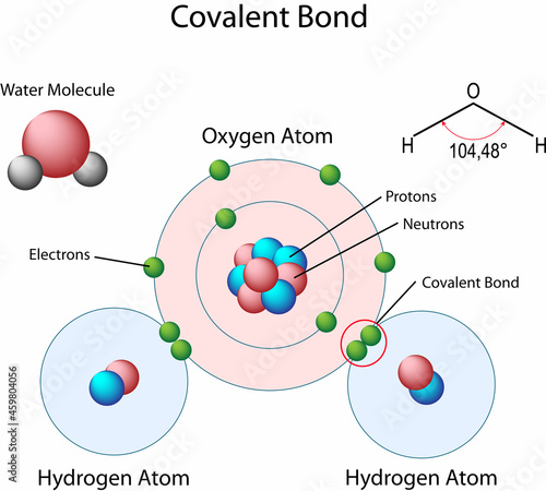 covalent bond of water diagram photo