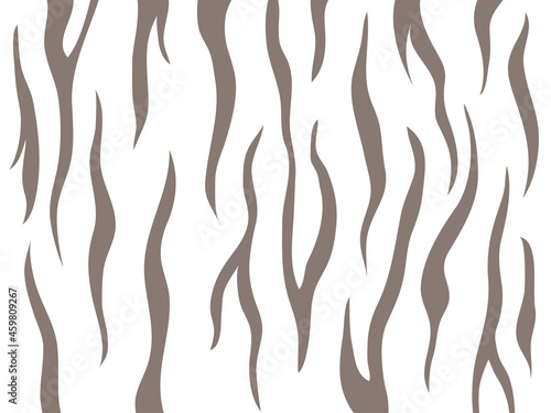 虎柄 ホワイトタイガー