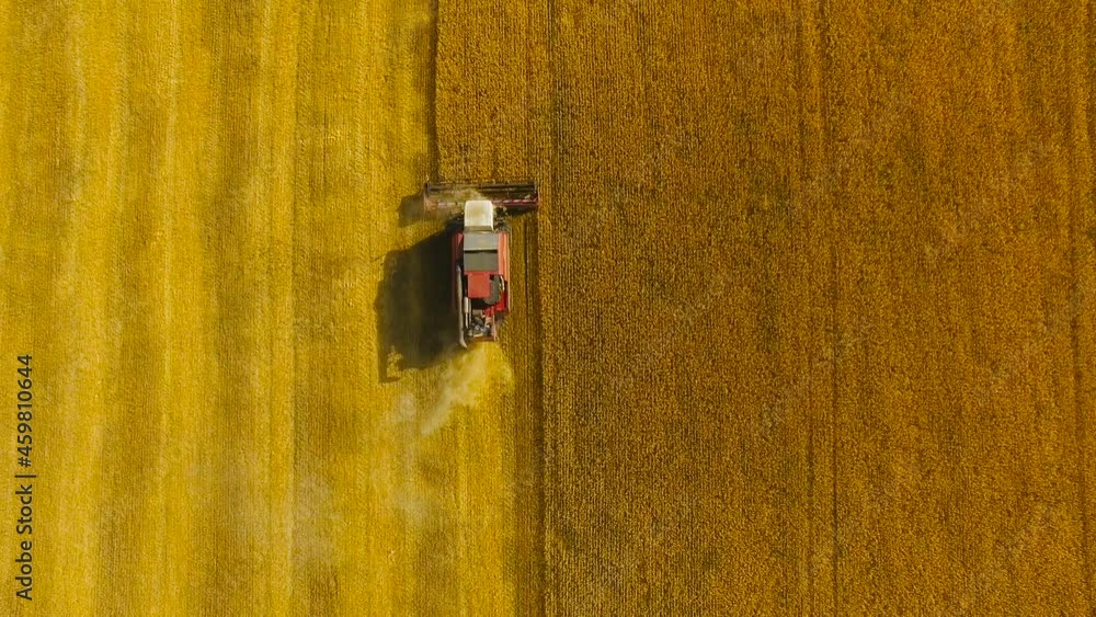 Combine harvester working on a wheat field - aerial view. Season of gathering crops. Drone flying over the field. Combine harvester working on a wheat field - aerial view. Season of gathering crops. Drone flying over the field.