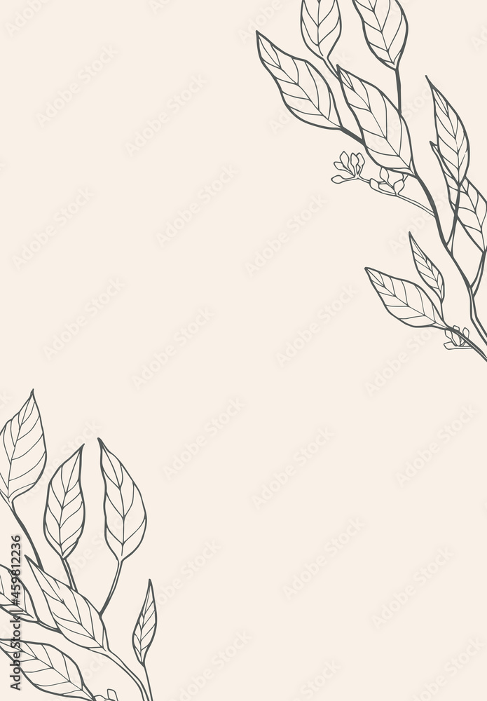 element of eucalyptus leaves vector illustration01. botanical frame for invitations, greeting cards, name cards, and posters.