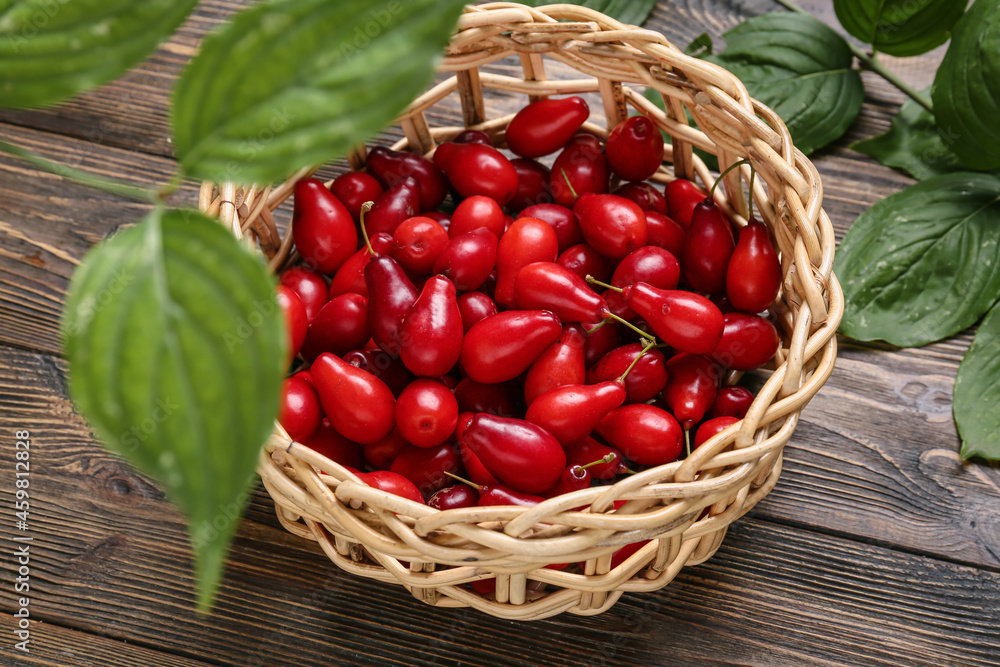 Wicker basket with fresh dogwood berries on wooden background Wicker basket with fresh dogwood berries on wooden background