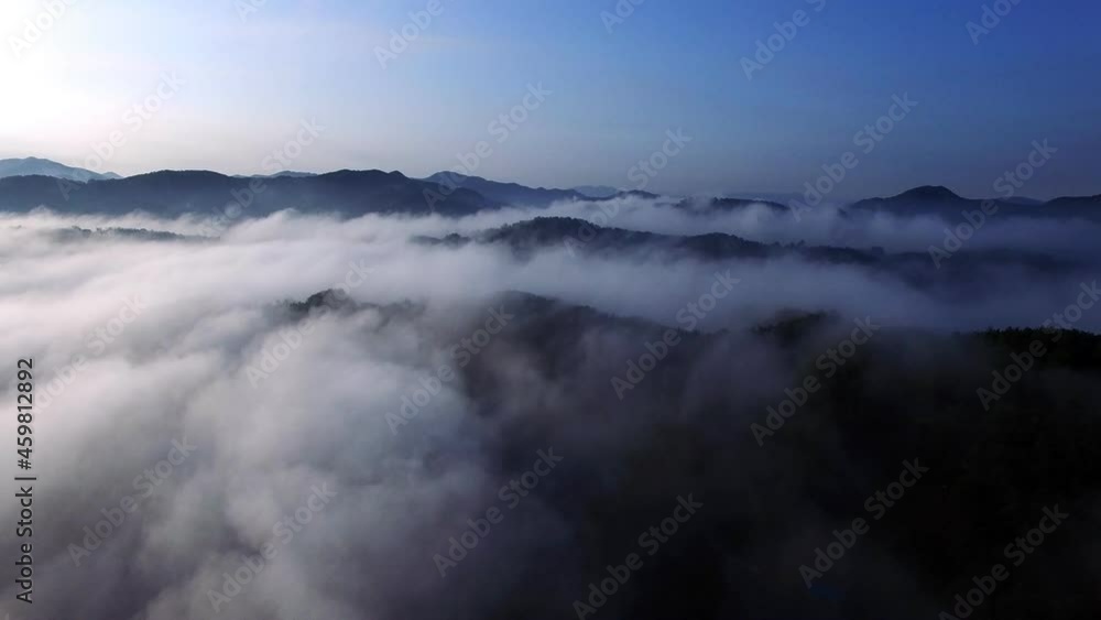 Aerial view of forest. Sun rise over the morning fog. Flight over the mountains. South Korea. 운해, 산. Aerial view of forest. Sun rise over the morning fog. Flight over the mountains. South Korea. 운해, 산.