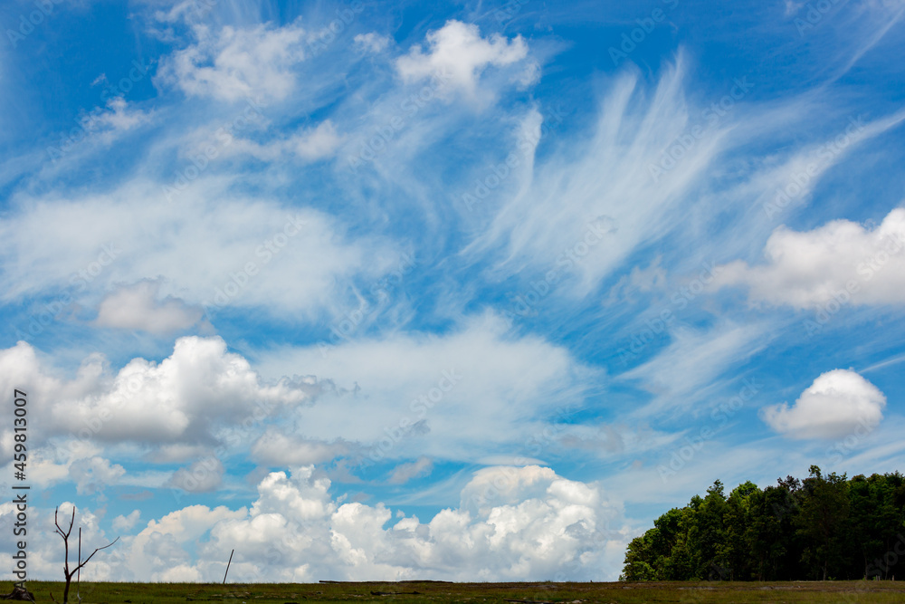 Fototapeta premium blue sky background with tiny clouds.