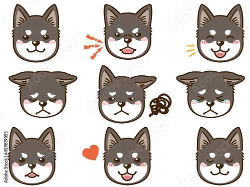 四国犬の表情顔アイコン