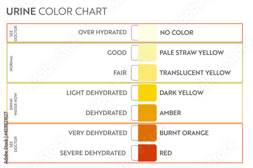 Urine color chart. Pee hydration and dehydration test strip. Vector design for medical education poster.
