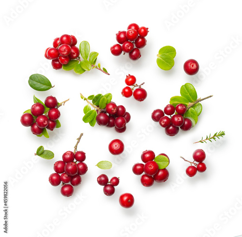Fresh wild lingonberry berries with stem and leaves isolated on white background. Set of red cowberry and cranberry with a soft shadow. Top view photo