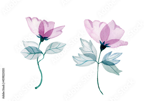 transparent purple watercolor flowers with green leaves