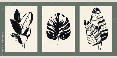 Set of three stencil graffiti posters. Contrasting minimalist vintage backgrounds. Illustration for decor, covers. Black silhouettes of hand drawn plants and leaves on a beige background. Monstera.