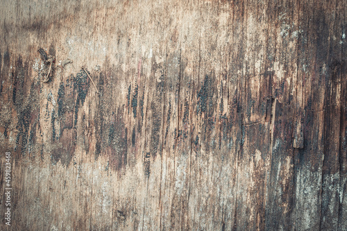 The texture of an old rotten board