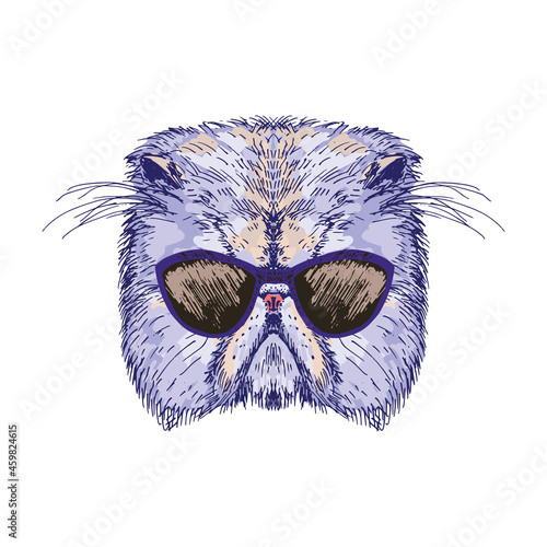 Hand drawn cat portrait with sunglasses, isolated on white, vector illustration