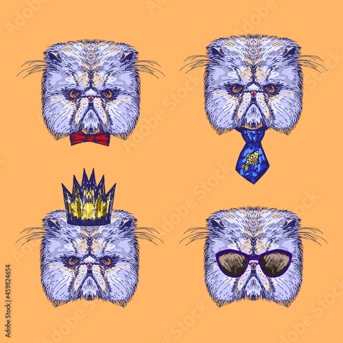 Cat portraits with different accessories, vector illustration