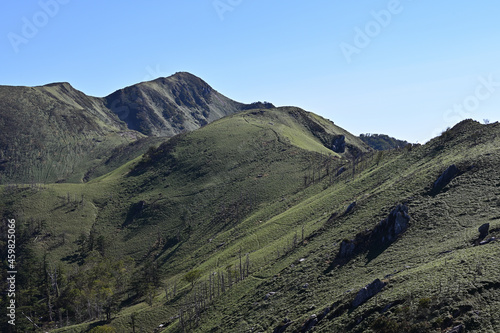 四国で最も美しい山「三嶺」の秋