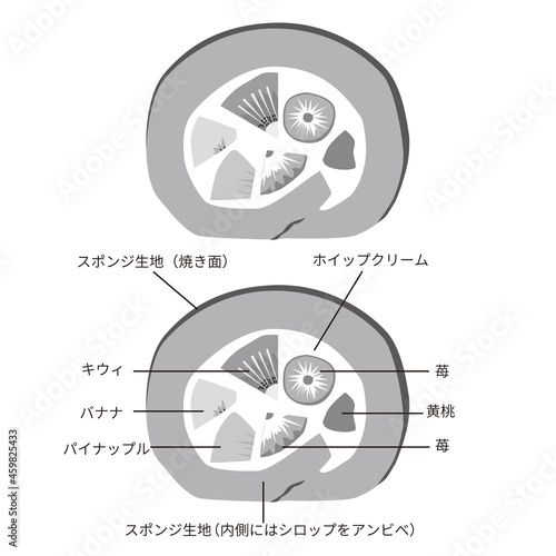 フルーツロールケーキの断面図