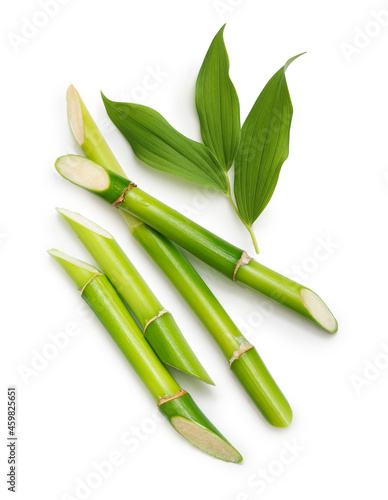 Fototapeta Naklejka Na Ścianę i Meble -  Green bamboo with leaves isolated on white background