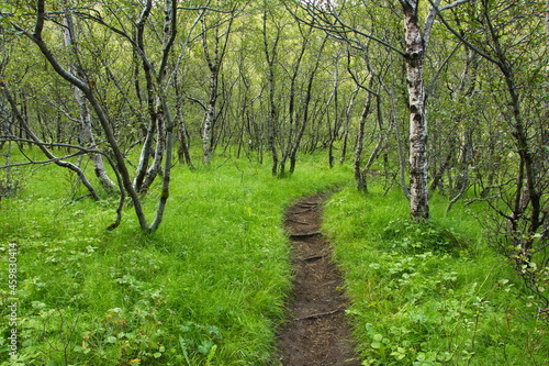 Hiking trail to Valahnukur in Porsmörk, Iceland, Europe
 photo