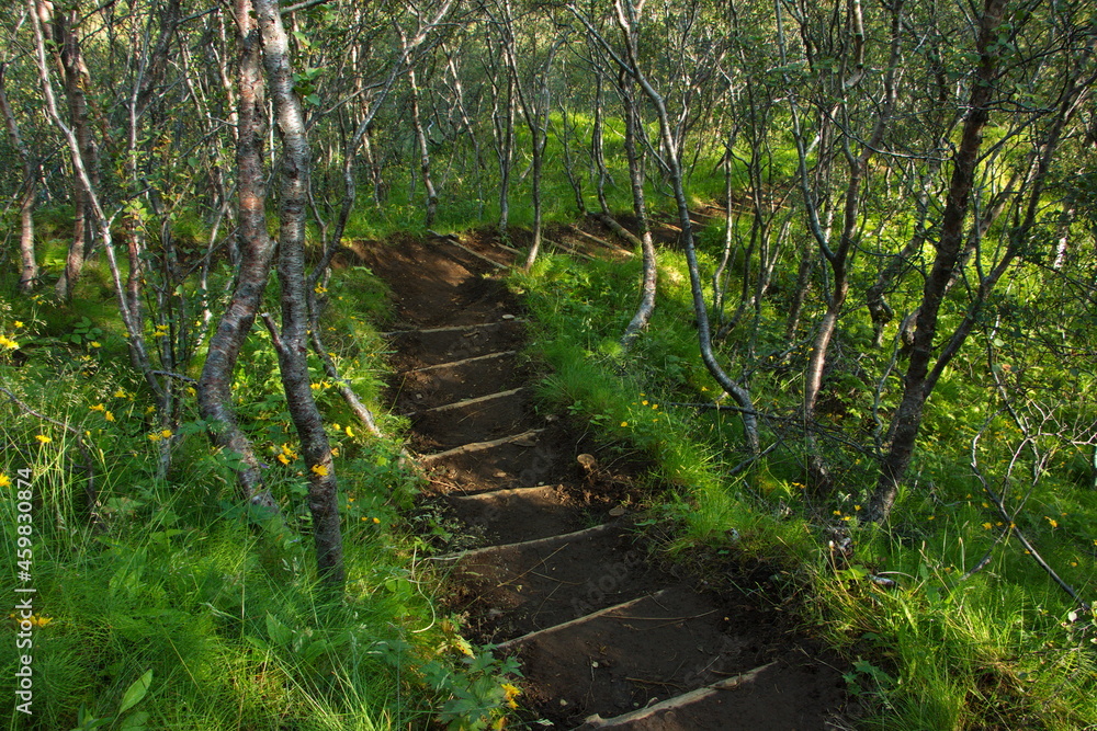 Obraz premium Hiking trail to Valahnukur in Porsmörk, Iceland, Europe 