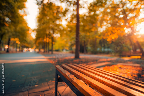 Fall park bench autumn urban landscape recreation. Peaceful relaxing sunset closeup of wooden bench with blurred bokeh forest tress  sun rays. Idyllic seasonal nature concept  dreamy October landscape