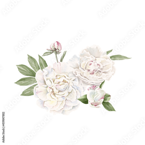 Set of delicate red and white peonies. Watercolor illustration © Yuliya