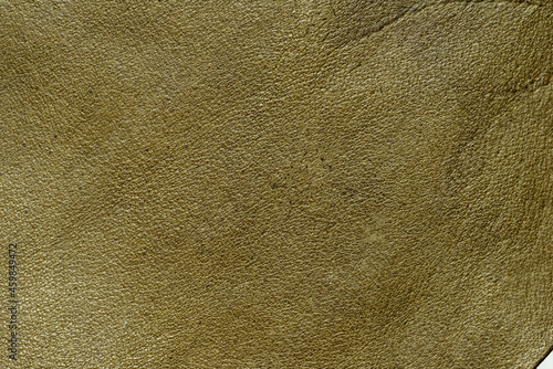 A close-up of tanned horse leather.