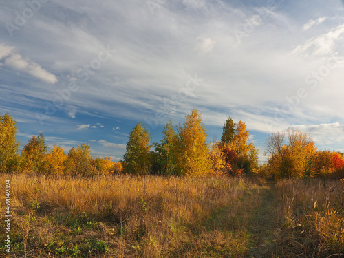 Autumn. Autumn forest, abandoned field and road. Beautiful sky with clouds. Russia, Ural, Perm region