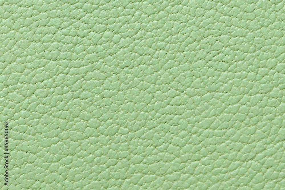 Fototapeta premium The surface of sheep leather.