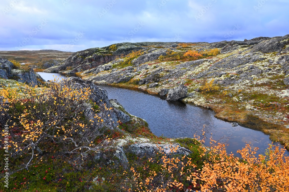 Wild nature in autumn on the Kola Peninsula in northern Russia